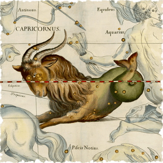 Constelația Capricornus (Capricornul)